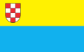 1280px-POL_Działdowo_flag.svg.png