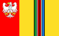 POL_powiat_łowicki_flag.svg.png
