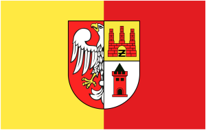 FLAGA Powiat żyrardowski