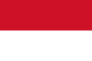 Indonezja Flaga 