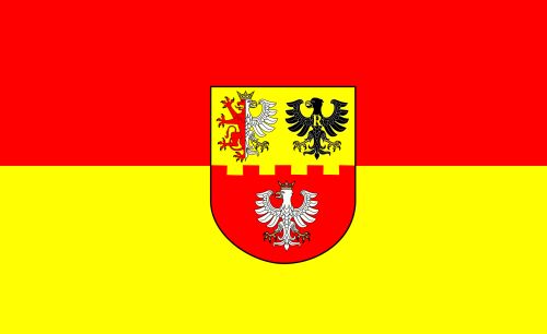 POL_powiat_zgierski_flag.svg.png