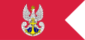 PL_navy_flag_IIIRP.svg.png