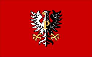FLAGA Powiat płocki