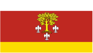 FLAGA Powiat poddębicki