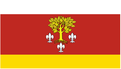 POL_powiat_poddębicki_flag.svg.png