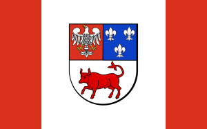 FLAGA Powiat turecki