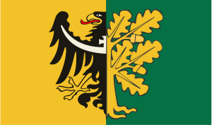 FLAGA Powiat wałbrzyski