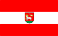 POL_powiat_wieluński_flag.svg.png