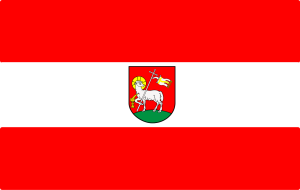 FLAGA Powiat wieluński