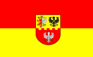 FLAGA Powiat zgierski