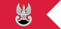 PL_special_forces_flag_IIIRP.svg.png