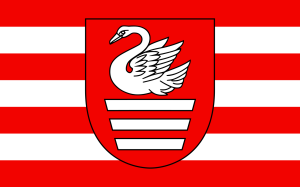 FLAGA Biłgoraj