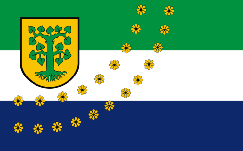 1280px-POL_Borne_Sulinowo_flag.svg.png