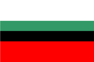 FLAGA Dąbrowa Górnicza