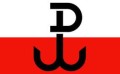 polska walczaca.jpg