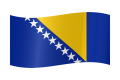 bosnia-and-herzegovina-flag-waving-medium.png