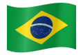 brazil-flag-waving-medium.png