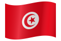 tunisia-flag-waving-medium.png