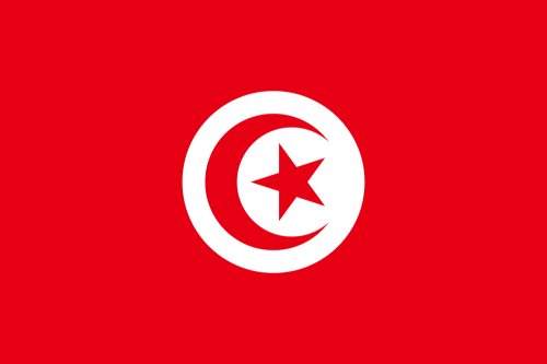 tunisia-flag-medium.png