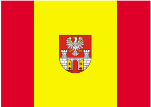FLAGA Powiat będziński