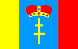 FLAGA Powiat buski