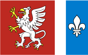 FLAGA Powiat dębicki 