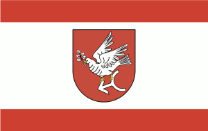 FLAGA Powiat golubsko-dobrzyński