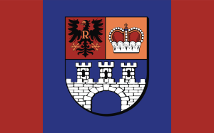 FLAGA Powiat gostyniński