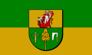 FLAGA Powiat kolneński