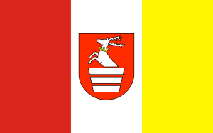 FLAGA Powiat kraśnicki