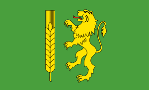 FLAGA Powiat kutnowski