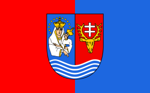 FLAGA Powiat leżajski 