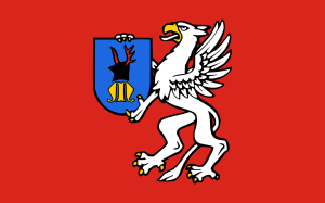 FLAGA Powiat mielecki 
