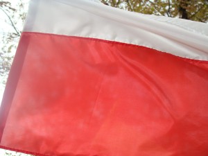 Flaga Polski 110x70cm  poliester komplet 100 sztuk